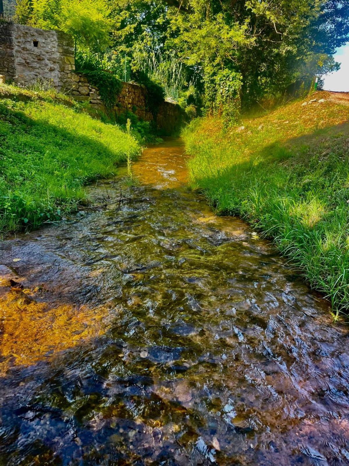 Moulin Gaillard 호텔 Bédarieux 외부 사진